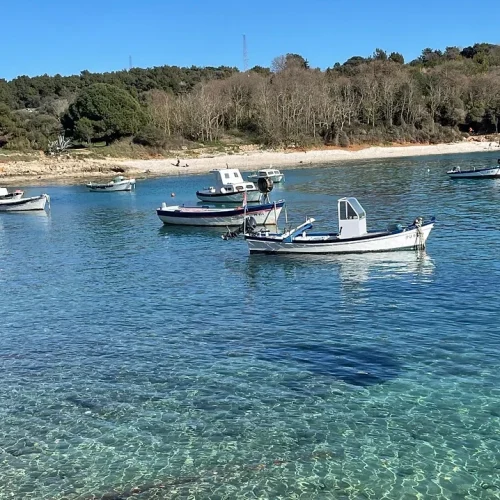 Small boats floating on clear turquoise water near a rocky shoreline with a forested backdrop.