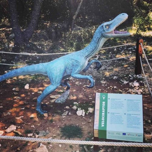 Life-sized Velociraptor model on display at Dinopark in a wooded area.